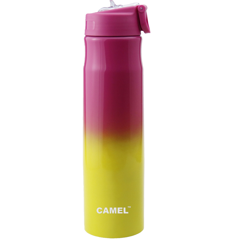 Camel Flair Sipper Bottle With Handle 750Ml